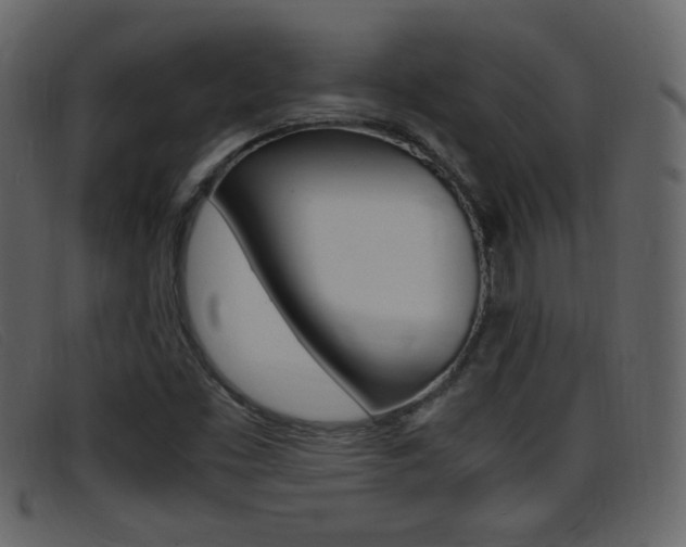 X0000096651453200802050923