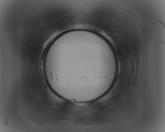 X0000096651454200802050923
