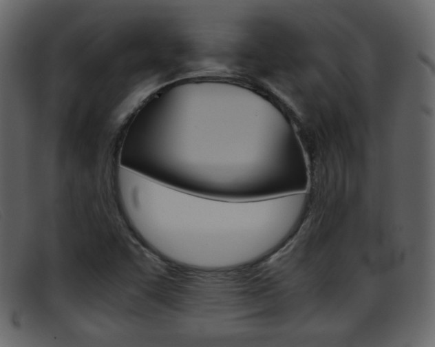 X0000096651455200802050923
