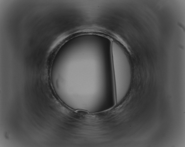 X0000096651456200802050923