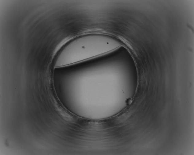 X0000096651458200802050923