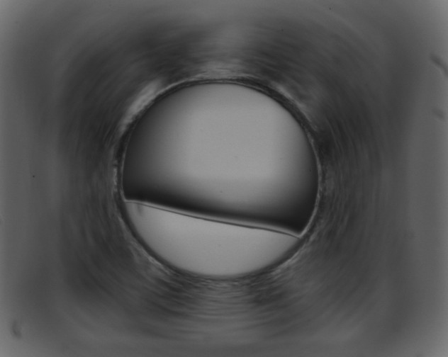 X0000096651459200802050923