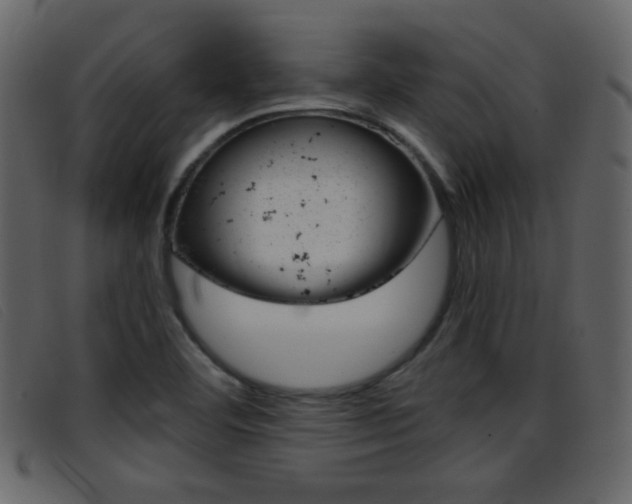 X0000096651460200802050923