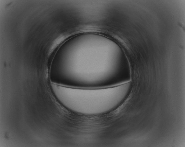 X0000096651461200802050923