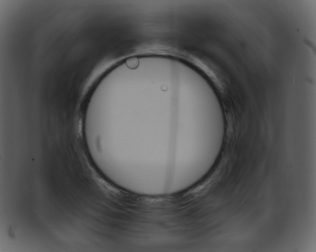 X0000096651462200802050923