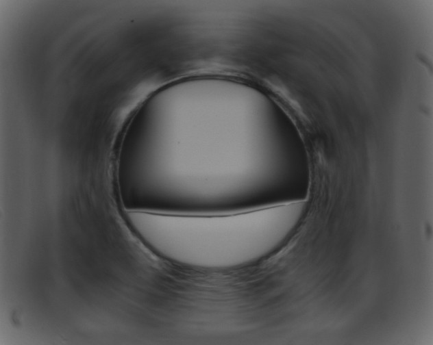 X0000096651463200802050923