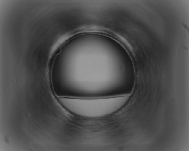 X0000096651464200802050923