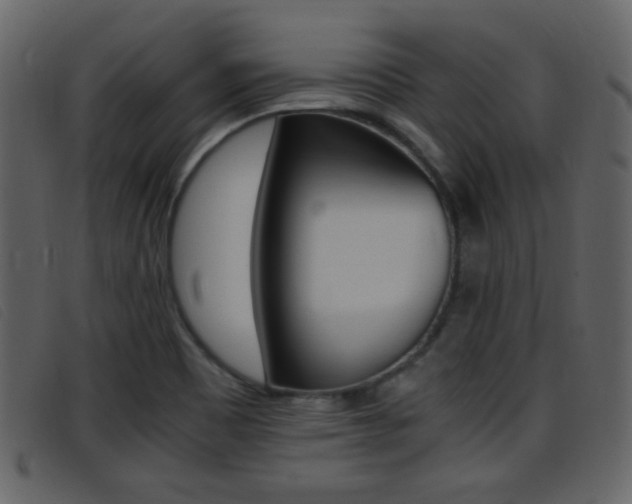 X0000096651465200802050923
