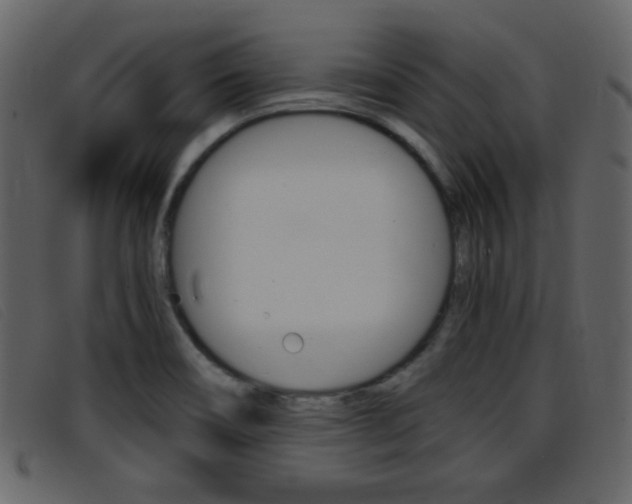 X0000096651466200802050923