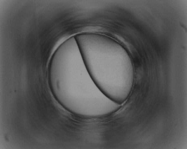 X0000096651467200802050923