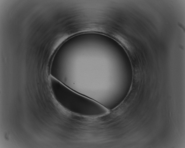 X0000096651468200802050923
