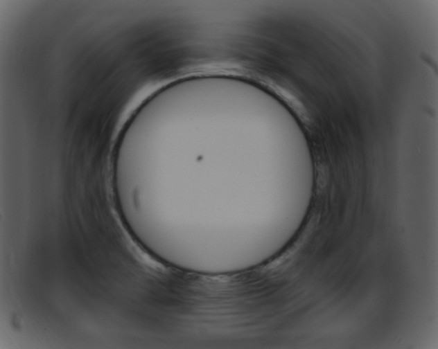 X0000096651470200802050923