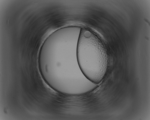 X0000096651471200802050923