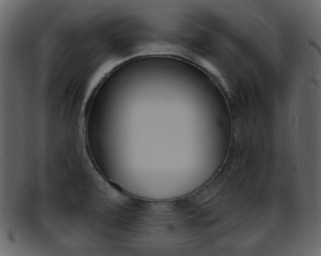 X0000096651472200802050923