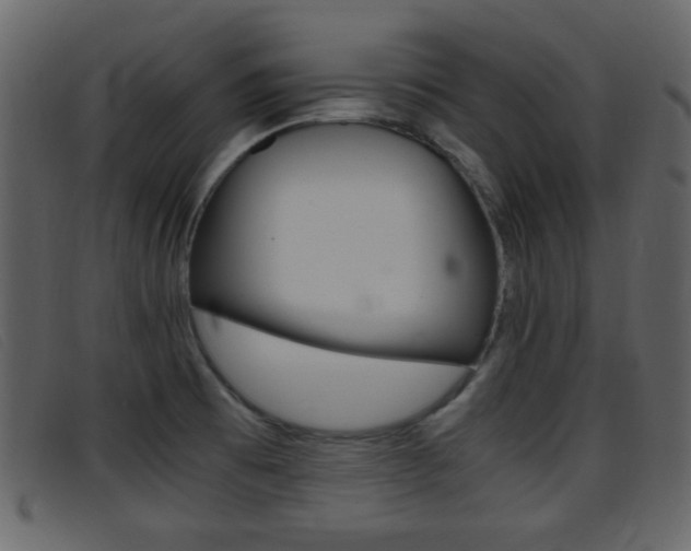 X0000096651473200802050923