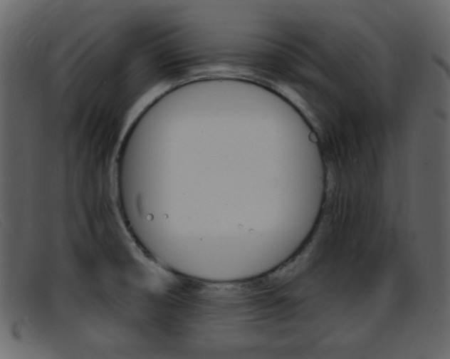 X0000096651474200802050923