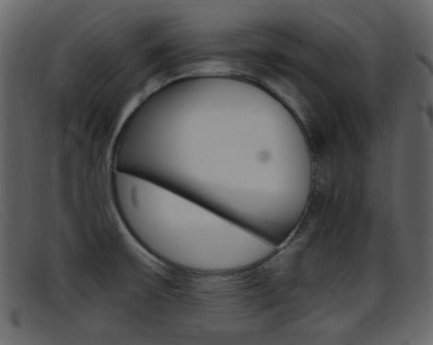 X0000096651475200802050923