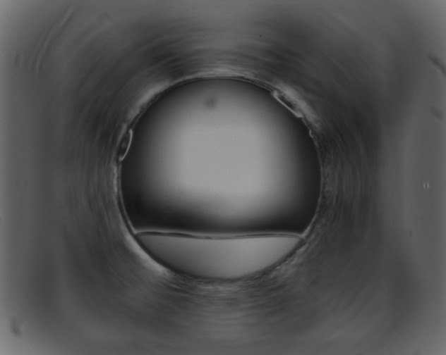 X0000096651476200802050923