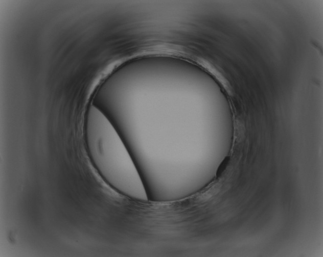 X0000096651477200802050923