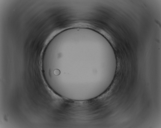 X0000096651478200802050923