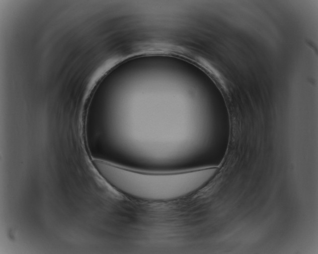 X0000096651480200802050923
