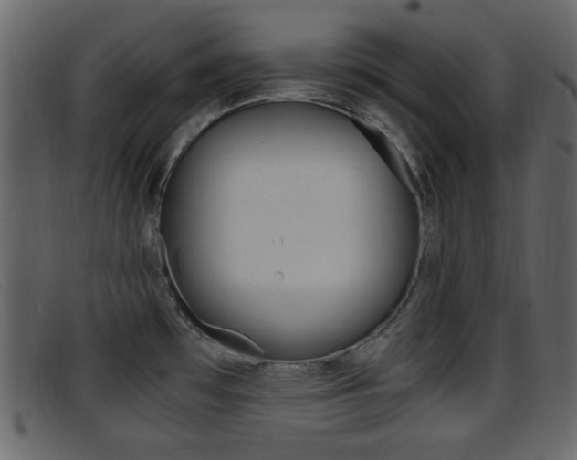 X0000096651481200802050923