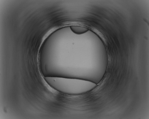 X0000096651482200802050923