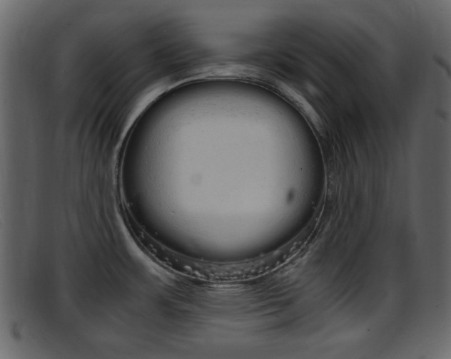 X0000096651483200802050923