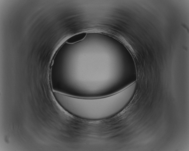X0000096651484200802050923