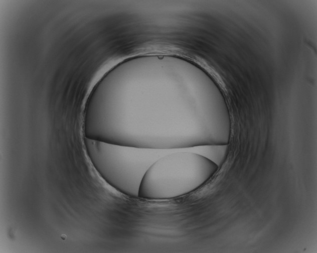 X0000096651486200802050923