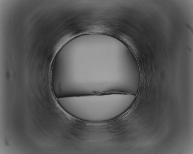 X0000096651487200802050923