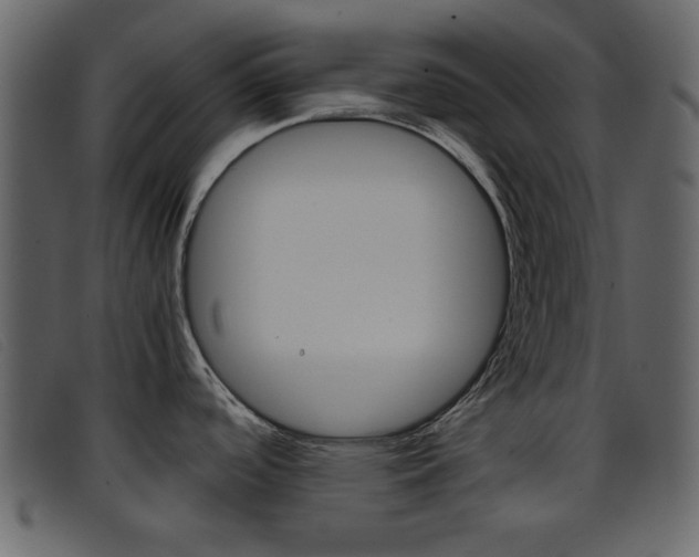 X0000096651488200802050923