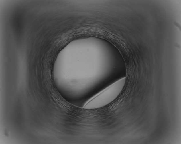 X0000096651489200802050922