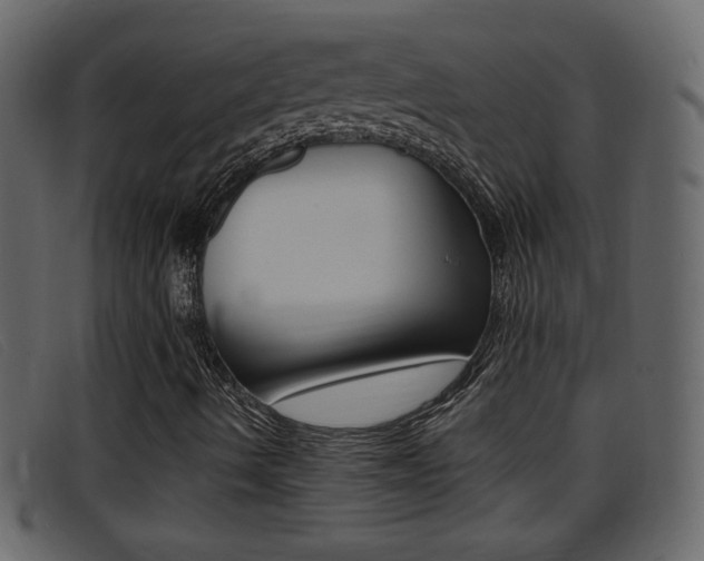 X0000096651490200802050922