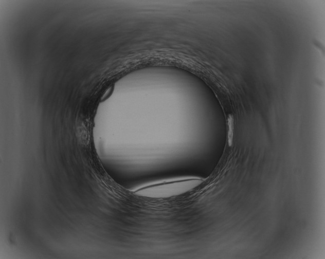 X0000096651491200802050922