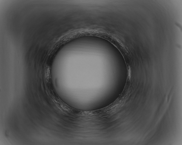 X0000096651492200802050922