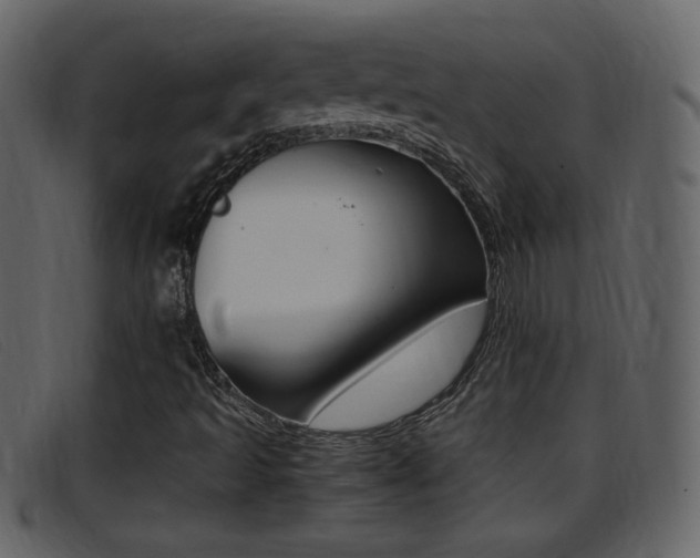 X0000096651493200802050922