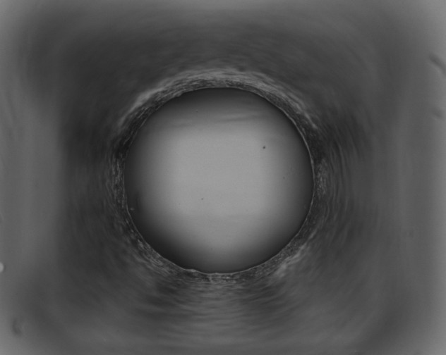 X0000096651494200802050922