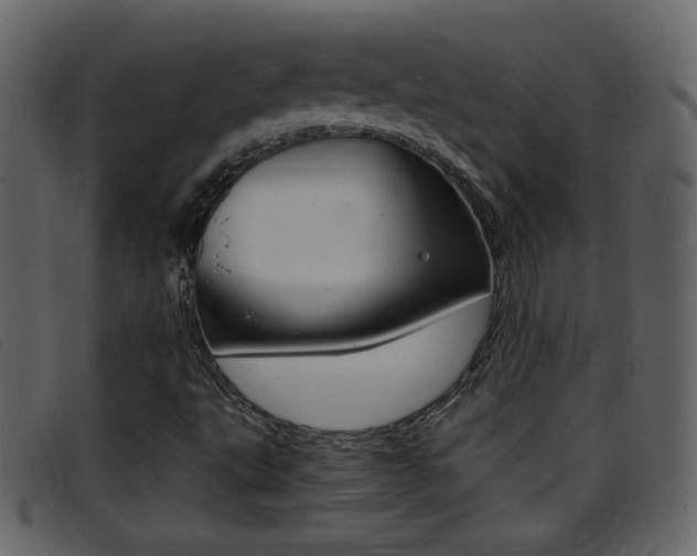 X0000096651495200802050922