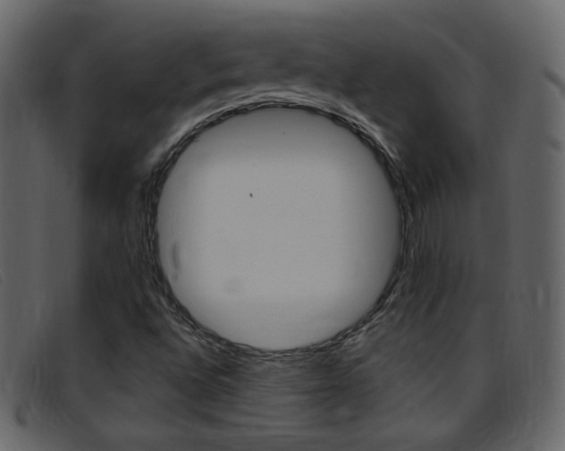 X0000096651496200802050922