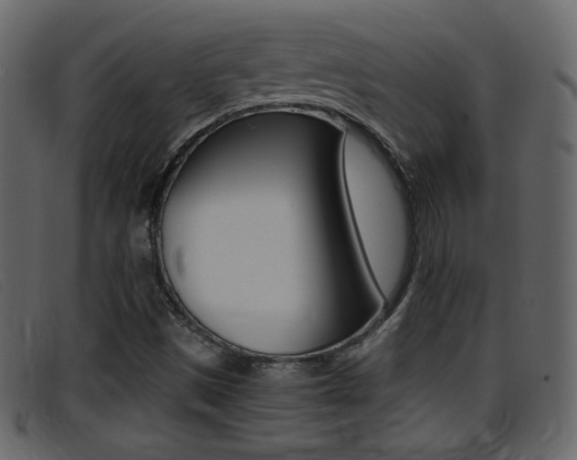 X0000096651497200802050922