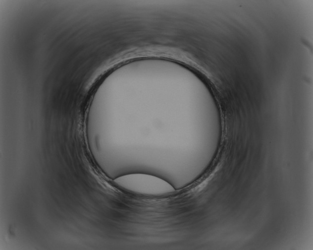 X0000096651498200802050922