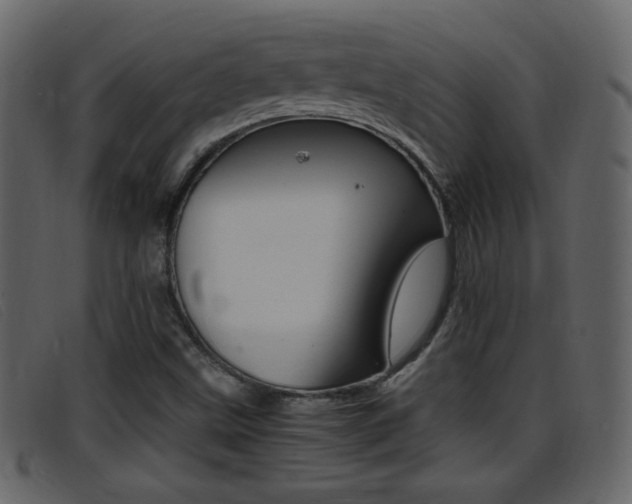 X0000096651499200802050922