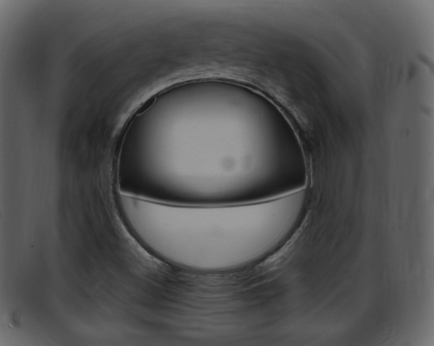 X0000096651500200802050922