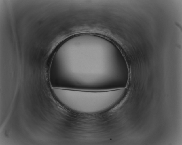 X0000096651501200802050922