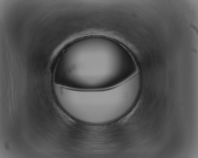 X0000096651502200802050922