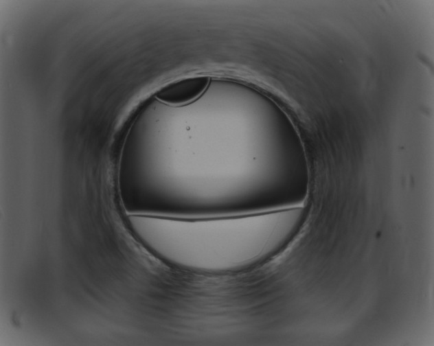 X0000096651506200802050922