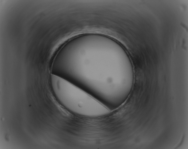 X0000096651507200802050922