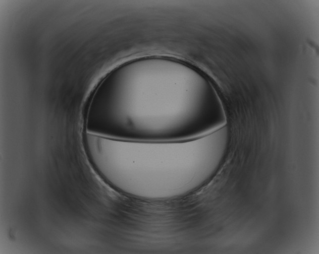 X0000096651508200802050922