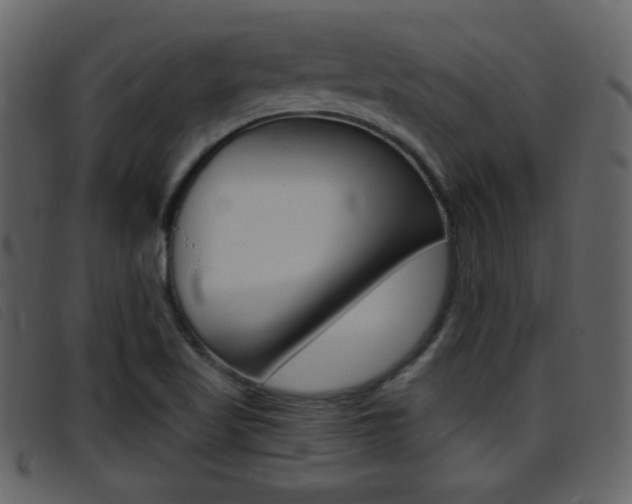 X0000096651509200802050922